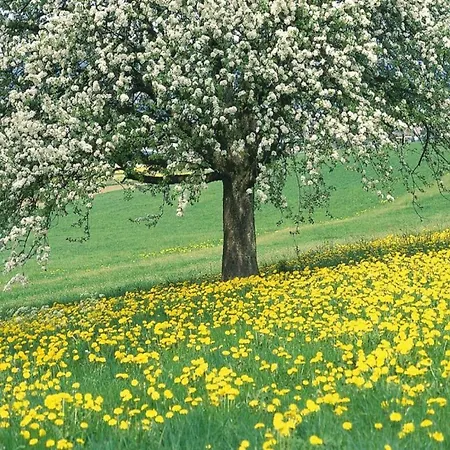 Dom wakacyjny Scenic Gulp Valley Slenaken