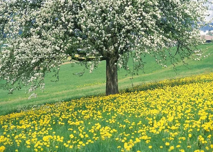 Feriehus Scenic Gulp Valley Slenaken